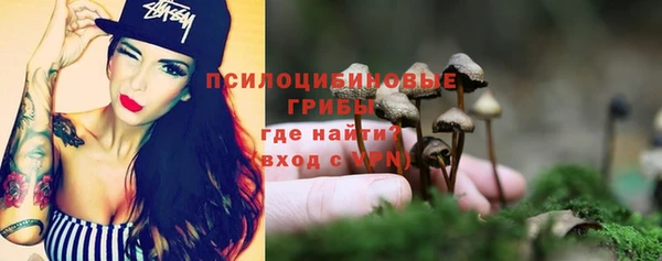 дживик Краснослободск