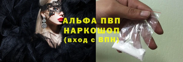 дживик Краснослободск