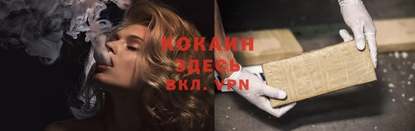 дживик Краснослободск