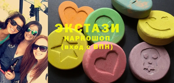 дживик Краснослободск