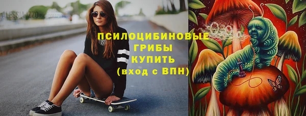 дживик Краснослободск