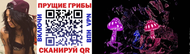 Купить где  Микунь  Галлюциногенные грибы Magic Shrooms 